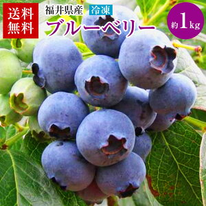 yⓀzY@u[x[1Kg@䌧Y^bvIWAَqɊȒPI蕨@ Mtg @ ƒp @p