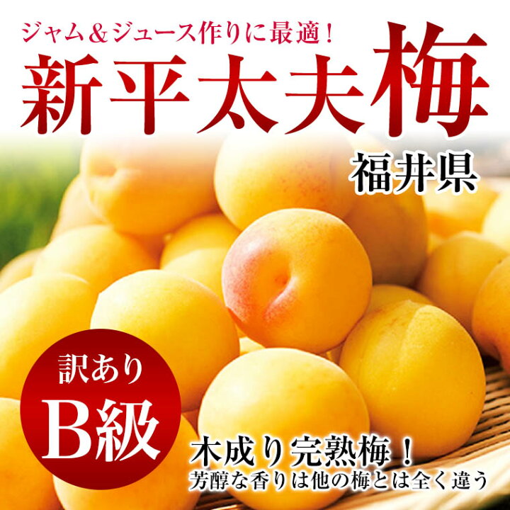 楽天市場】送料別 梅干し作りにはこの梅！ 木成り完熟梅【新平太夫梅 福井県産新平太夫梅8kg 新鮮 サイズ不揃い 訳あり 手もぎ収穫品