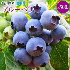 Ⓚ@E݃u[x|500g@䌧Y@WAَqɊȒPIƒp p[OĝɁI