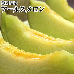 sA[Xts}XNtsNEt2ʉϔ IYnÉ瑗 MtgAv[gA蕨ACjA䈥AA䒆AΕAjAjA