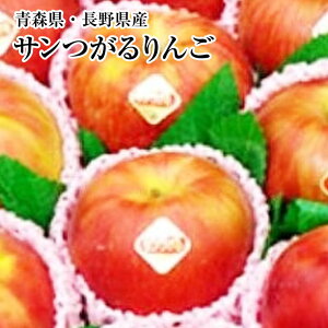 T񂲁@Gi6ʉϔE8ʉϔE3KgE5Kgϔ E10KgXE쌧Y˃TCYwȂ@