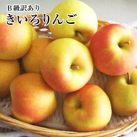 送料無料《B級訳あり　ご家庭用》黄色りんご約5K入り【トキ】【きおう】【金星】【王林】【シナノゴールド】等黄色林檎たち旬の時期に旬の品種を9月下旬頃〜予定