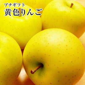 楽天市場 金星 りんご フルーツ 果物 食品の通販
