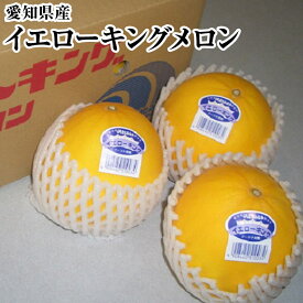 イエローキングメロン【愛知県産】Lサイズ以上　2玉化粧箱送料無料