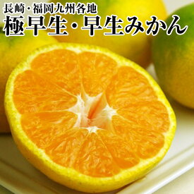 全国各地産極早生・早生みかん　秀品約3Kg箱・約5Kg箱　Mサイズ以上⇒送料無料　各産地厳選一押しみかん