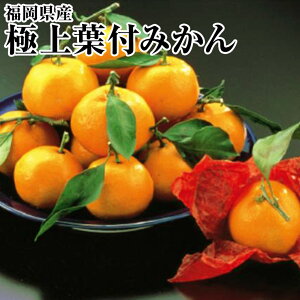 ~̑蕨Iɏtt݂ܓ12ϔ 12{甭\@Εɂ@~̏