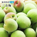 【タップリ2Kg】《冷凍青梅》B級品約2Kg袋1個～3個　訳あり　傷あり　不揃い　色むらあり　南高梅・古城梅　三方梅　福太夫　剣先梅 青梅 生梅　冷凍梅・梅酒・冷凍梅・梅ジュ-ス・梅シロップ・梅ジャム・和歌山・徳島・福井等送料無料クール便