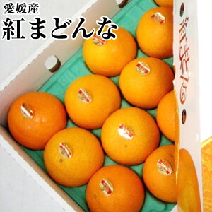 ~̑蕨Iyg܂ǂȁzyGizL`4LTCY Ynϔ3Kg(8ʁ`15ʓj݂ Q @JAЂߒ ϔ Ε g}hi k Ε 蕨 Mtg 