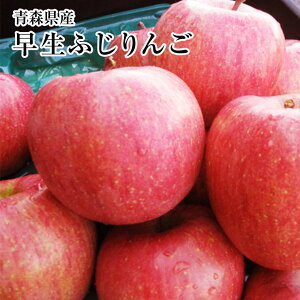 yxm񂲁zyOOtWzG6ʁEG8`9ʉϔ@X10{납