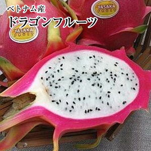 ドラゴンフルーツ 白の人気商品 通販 価格比較 価格 Com