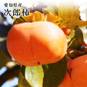 yY`z2K@yH̉ʕ̉l̓oIIzmYˑ@ʕ HMtg@