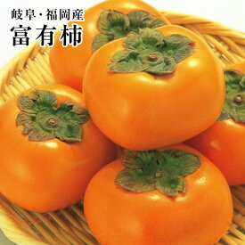 【富有柿】フユカキ約3．5K箱　岐阜・福岡　送料無料