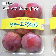 酸味の少ない甘～い！山梨県オリジナル品種　サマーエンジェル 500g入り　すもも 2パック　4パック 山梨…