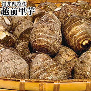 󂠂BzOyǁz䌧Y1.5kg@3kg@5kg@10kg@傫E`@ƒpŃ^bvIˑ@uh@zTgC@㏯EezOEEREρEς