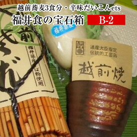 越前 ふくい食の宝石箱【B-2】 福井えちぜん 越前蕎麦 3食分 辛味だいこん ets えちぜん 福井県 オリジナル ギフト そば セット 蕎麦 大根 お歳暮 贈答用 お中元 薬味 そば おろしそば 年越しそば 蕎麦猪口 越前焼 ゴルフ景品 送料無料