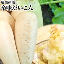蕎麦職人さんも唸る！！辛味だいこん 1本・ 3本・1ケ−ス 大根・薬味・大根おろし・年越しそば・越前そばに　福井県の…