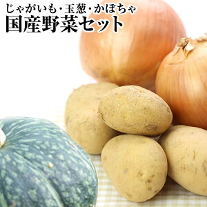 かぼちゃ 1個の通販 価格比較 価格 Com