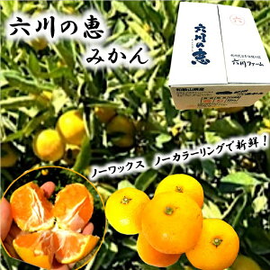 ݂@~̑蕨IyŽb݂zS-2S@10kg@5kg@3kg@1kg@a̎R@Lc@@瑁@~J@k@@Ε@ƒɂ@m[bNX@m[