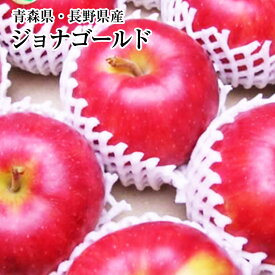 【訳ありリンゴ　ご家庭用】青森・長野林檎　ジョナゴ−ルドB級約5K箱⇒送料無料