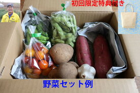 野菜　セット　福袋　農家　産直　国産　茨城県産　初回限定　プレゼント　コットンバック　ポイント消化　エシカル　サステイナブル　送料無料　父の日　母の日