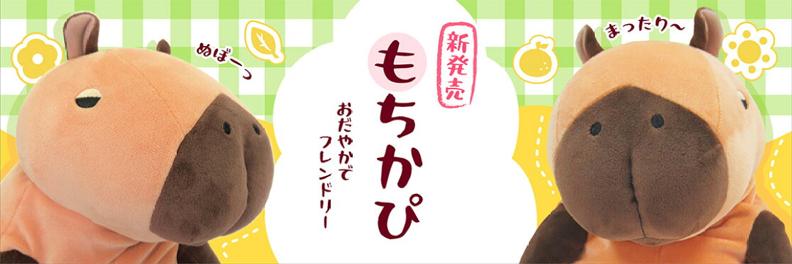 もちかぴ