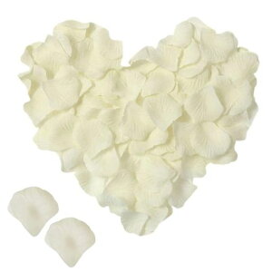 N[zCgoԂт300t[V[KNԃv|[Y茋EGfBOajNX}Xp[eB[pBeȂǗp菬