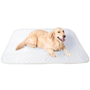 y̌NԂz􂦂ybgV[catRise[AbgCY]4TCYzgCV[g~߃zCg(rbOTCY)