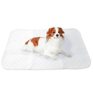 y̌NԂz􂦂ybgV[c2ZbgatRise[AbgCY]4TCYzgCV[g~߃zCg(X[p[ChTCY)