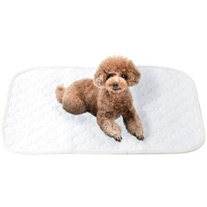 y̌NԂz􂦂ybgV[c2ZbgatRise[AbgCY]4TCYzgCV[g~߃zCg(ChTCY)