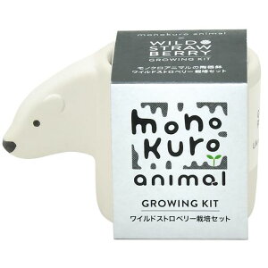 V|H/~̉ƒ؉ȒP͔|LbgXgx[؍͔|Zbg(R/H)7x5cmmNAj}VN}̓v[gaGD-100703