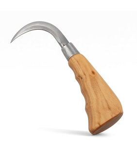 ThujopsismR^^~ւMt]ߑS168mmKтɂ