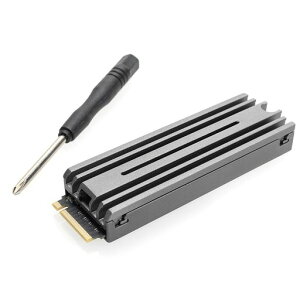 WebN_CNgSSD1TBPS5݌vq[gVNtNVMeM.2PS5ProΉmFPCleGen4x4ΉR:6100MB/sType2280M-KeyeʊgȒPݗp