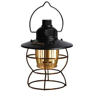 ^led[d׃sOLhAEghALvpvꂨLvAeB[NfUCgfUCCeA͋CɊԐڏƖɍœK3iKc