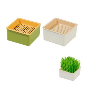 aninako水耕栽培猫草ボックス2個セット猫草栽培キット猫草プランター猫草栽培セット水植物スプラウター発芽コンテナー室内猫草用キャットグラストレー