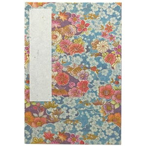 (Styleneo)󒠌󒠃Jo[t160x109mm֕[o(ؐF)