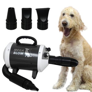 �v�����p����13�N10�N���[�U�[�����Ɩ��p���[���h���C���[�u���K�u���[�v(���ʁE���x���i�K����)�É��v���̕i�������ƒ�ł�PSE�擾���i���{���[�J�[�y�b�g�h���C���[