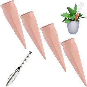 SanDollA픫AϗtA蓩헷so璆SK[fjO蓖ԕti(XXRbvVo[t)