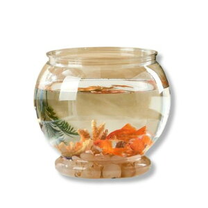 LovSawarvX`bNLɂ񂱂̋̐_JeEȂyꂩ킢CeA(M(a18cmx17.5cm))