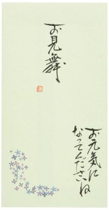 ɗ\[Z^[{jV܎菑SpO[V111-22