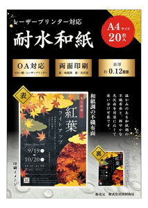 łϐaA4TCY20axʃ[U[v^[ΉOKa̕fUCɍœKBO|X^[Ej[ExEapbP[WɂNłȁc