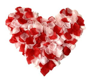 RuiChy2000KNԍỏԂтv|[Y茋EGfBOajoɃ[Yp[eB[NX}XBeop[eB[p(2Fx1000)ԃsN