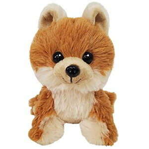 yBESTEVERzv~Aps[PremiumPuppyʂݎq|jAPomeranian53017