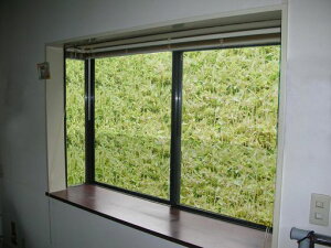 ATqyptBKXpՔMV[gp92cmx2mSG-21NS^Cv͂鑾z̓JbgՔMUV99%Jbg40%Jbg{