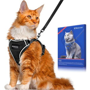 BigcowLLpn[lX[hZbgL[v[hLn[lXL֔L˂lRqLUoȂxXg\tgČyʓʂ\TCY߉锽˒ʋCbVc