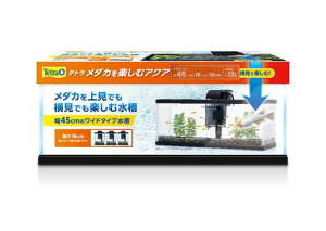 eg(Tetra)_JyރANAȒPÂȃtB^[tG炳ɂތo