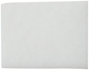 100x136(5)F-1SS3Ήi݊tB^[