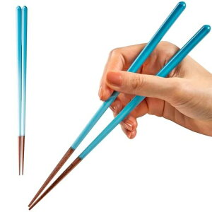 FlaColleyF炢͂z23cmH@ΉȂ䟭{yVbNȃOf[Vzv[g()