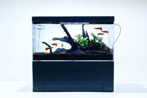 27cmŊyރANAEI[o[t[ZbgIuM-27ubN