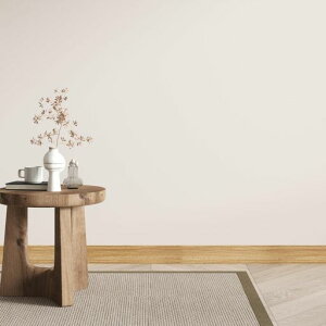 CHIHUT}XLOe[vؖڕǎ10cmx15mtH[Che[vCNV[ggLb`䏊hAgLbNCƋDIYprJbeBOV[gCguEӂ܎؁c