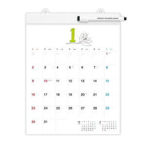 قړzCg{[hJ_[2025~fBAǊ|